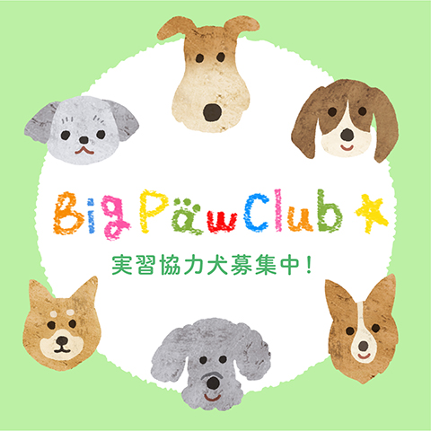 BigPawClub