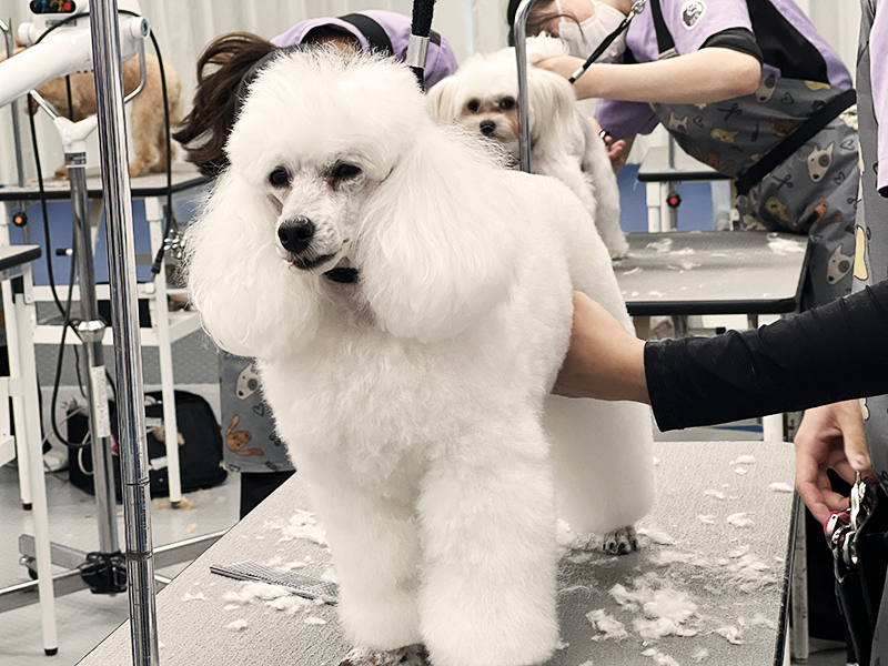 実習写真